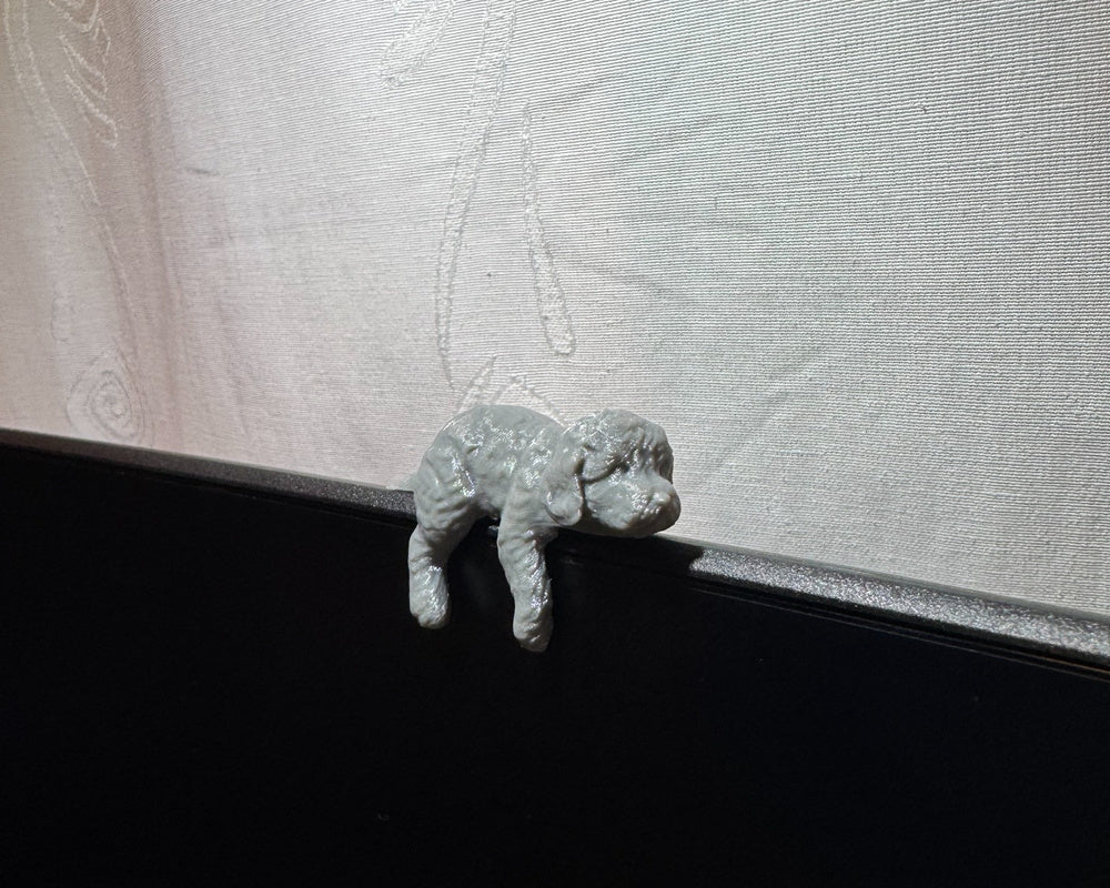 Sleepy Poodle Monitor Pet