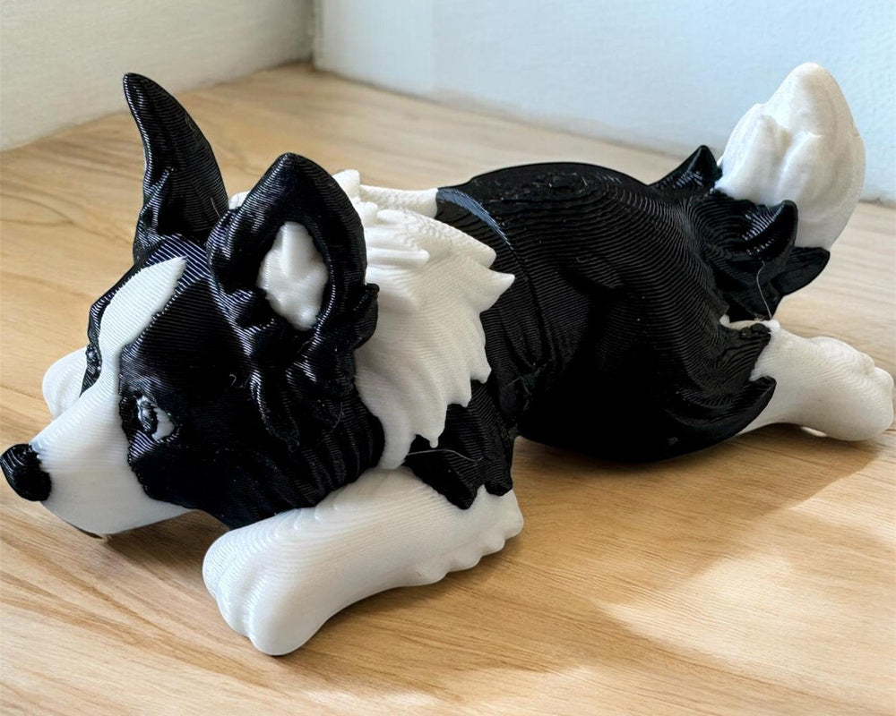 Mini Flexi Border Collie Puppy