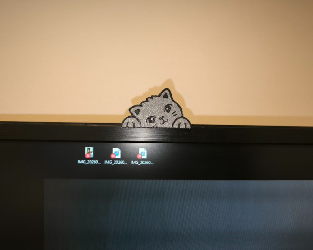 Peekaboo cute cat