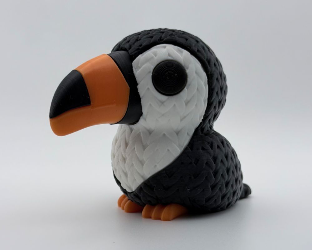 Woven Toucan